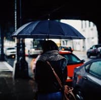 Geraldine H Woolford