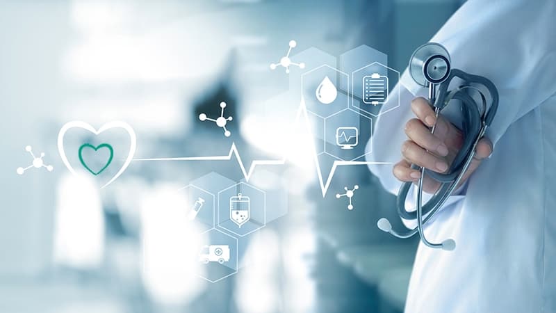 Nutrition and Digestion Comprehensive Quiz