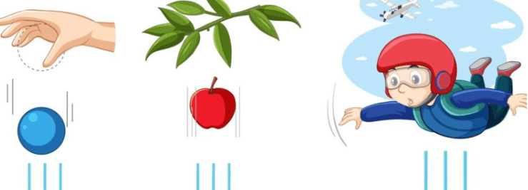 Understanding the Pull of Gravity Quiz