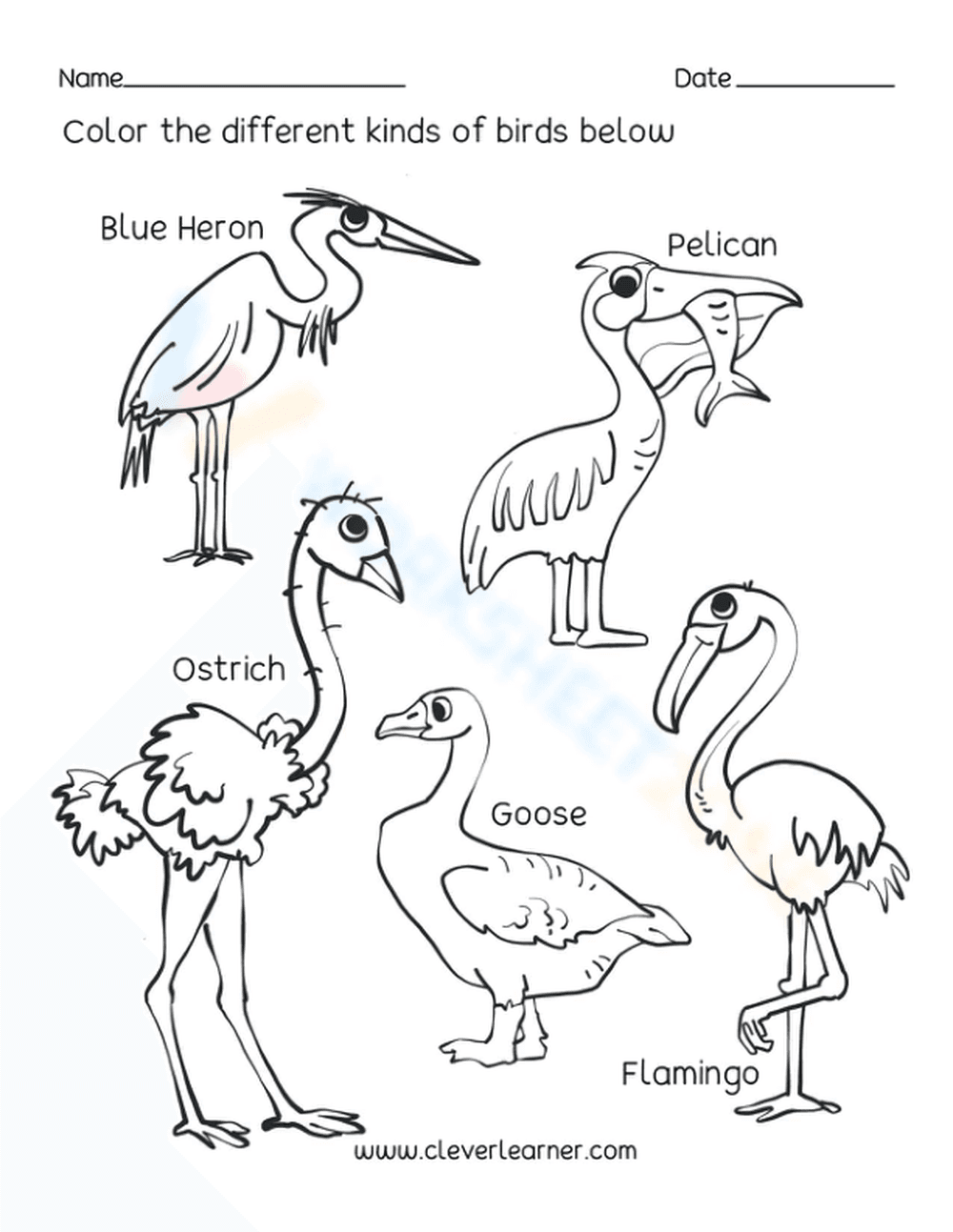 Kinds of Birds - Page 1