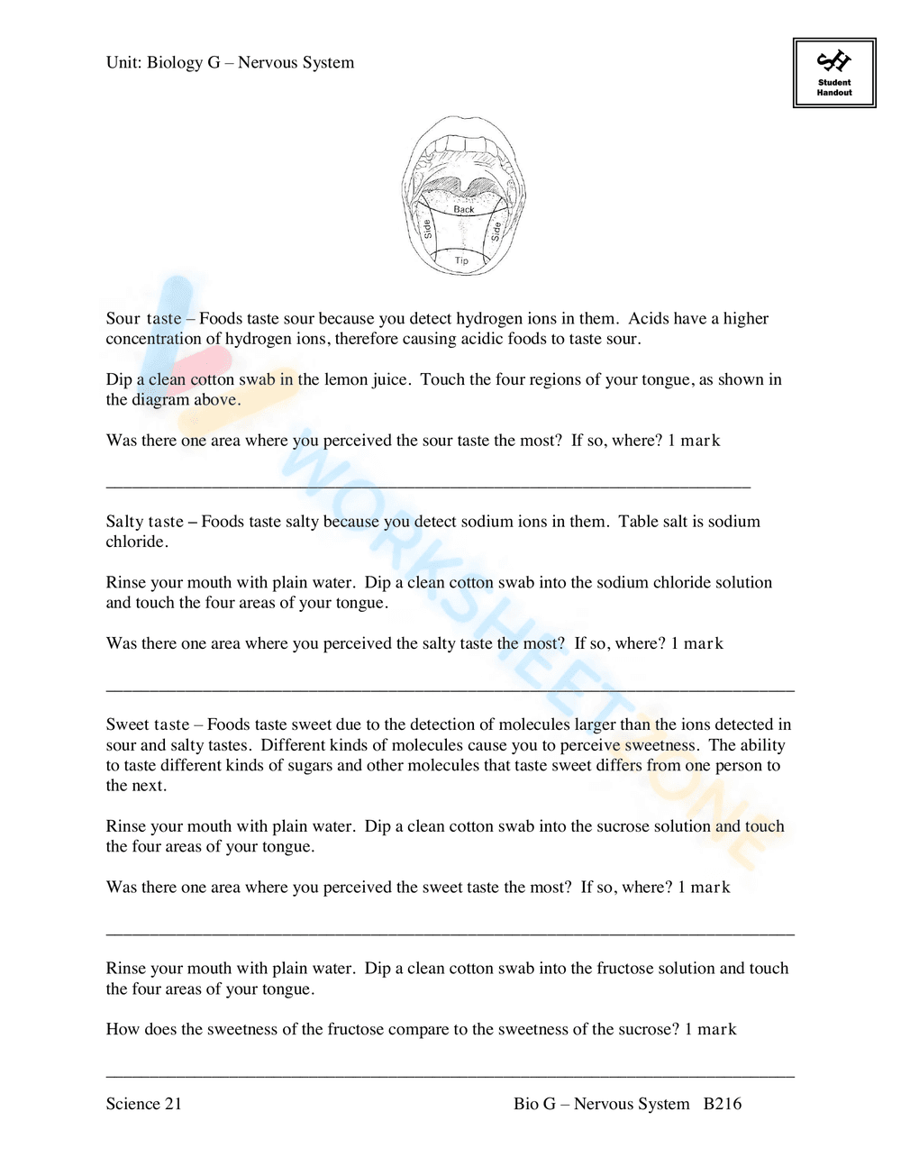 AN INTRODUCTION TO THE NERVOUS SYSTEM - Page 34