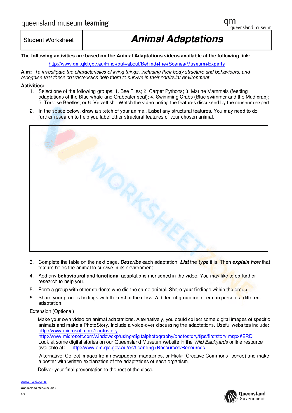 Animal Adaptations - Page 2