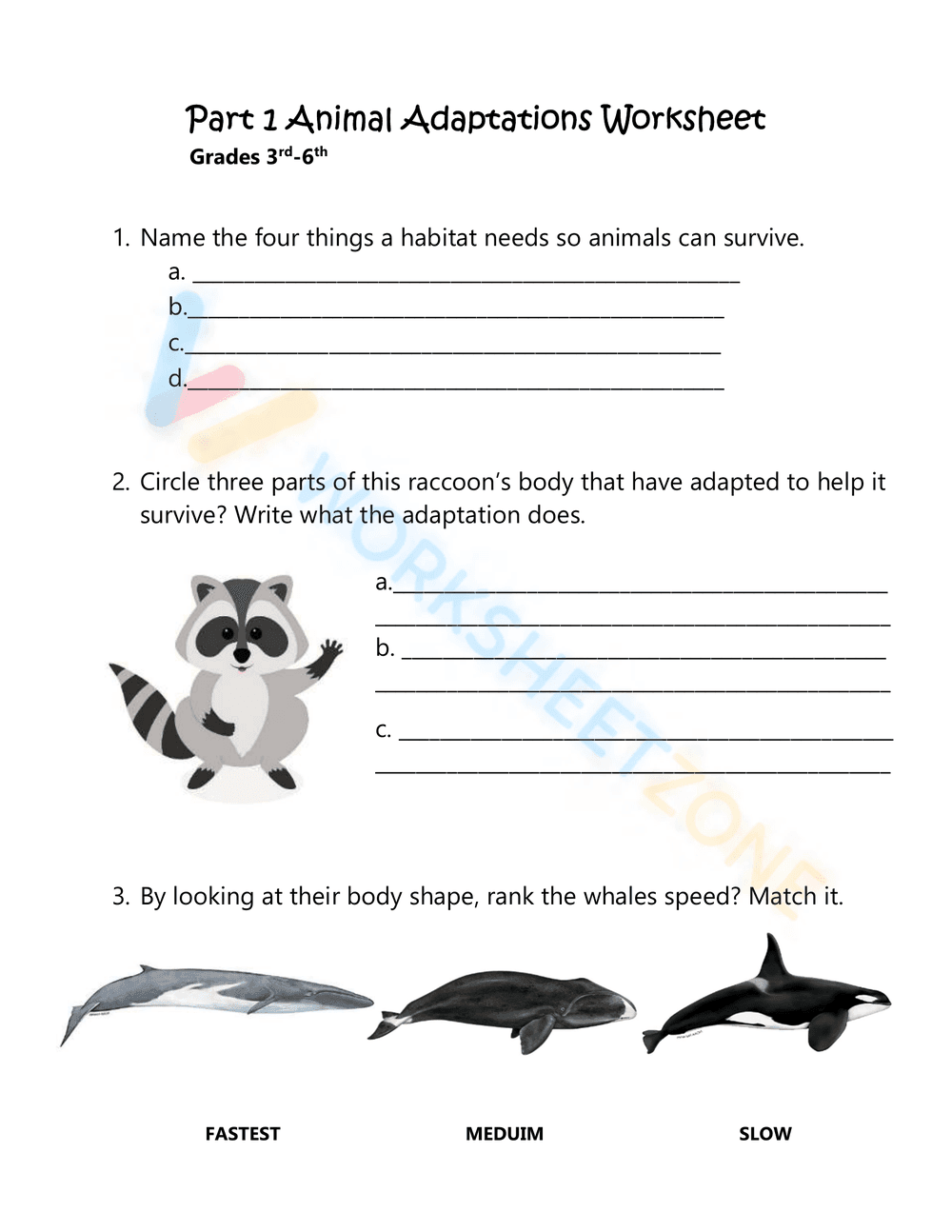 Animal Adaptations Worksheet - Page 1