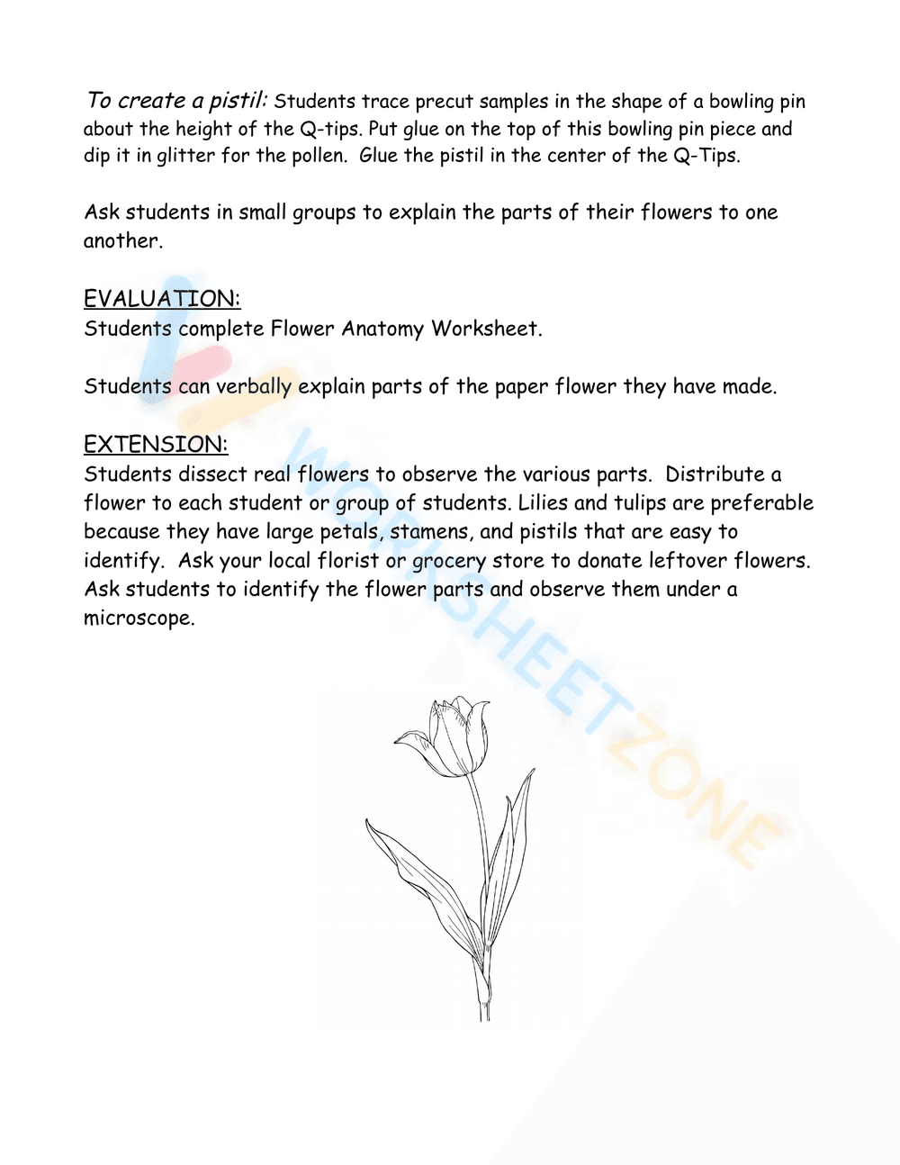 Parts of a flower - New Jersey - Page 4