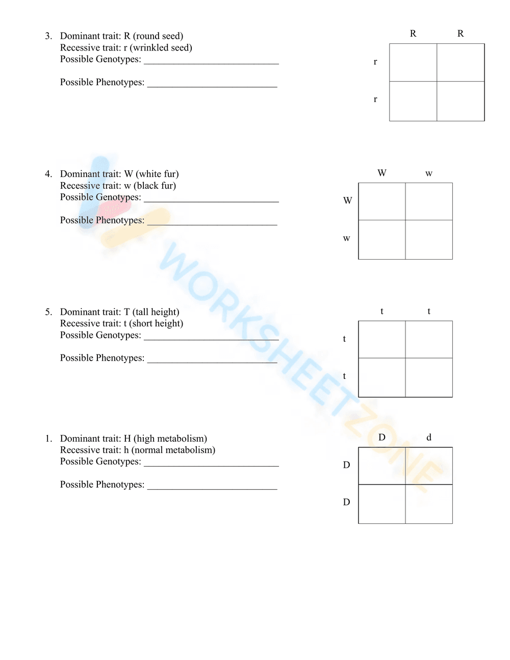 Practice with Monohybrid Punnett Squares - Page 3