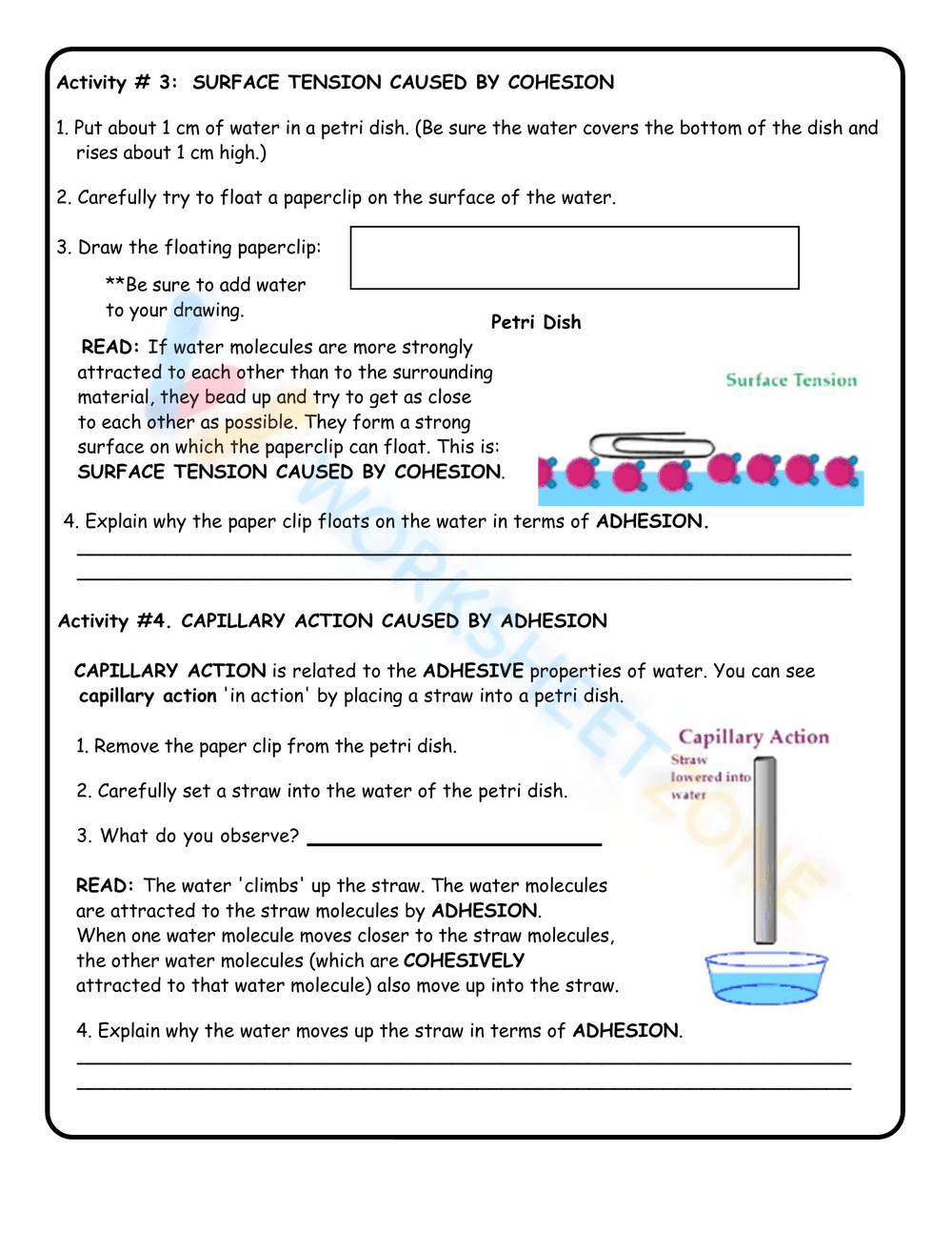 Properties of Water Activity - Page 3