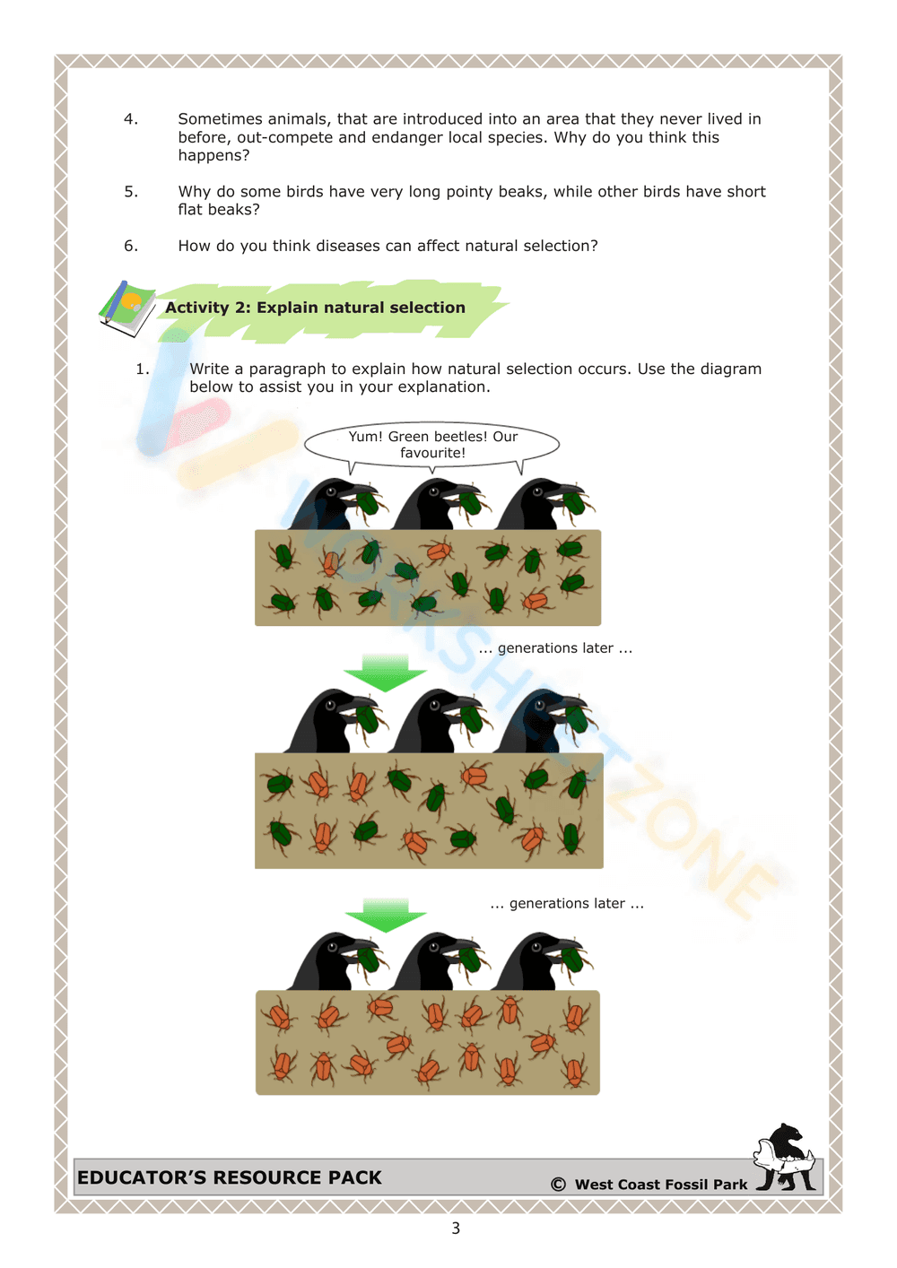 Worksheet: The theory of natural selection - Page 3