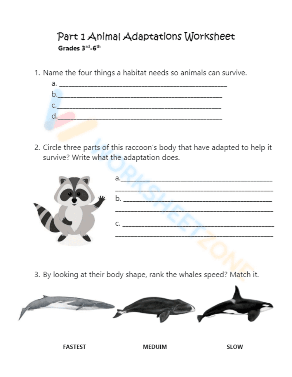 animal adaptations 1 - Page 1