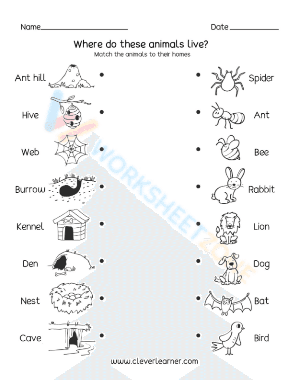 animal adaptations 2 - Page 1