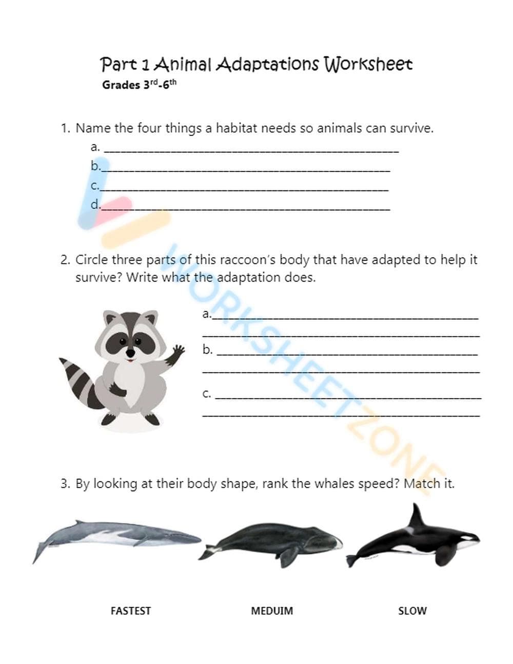 animal adaptations 1 - Page 1