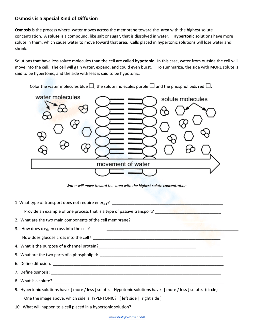 Cell Membrane and Transport - Page 2