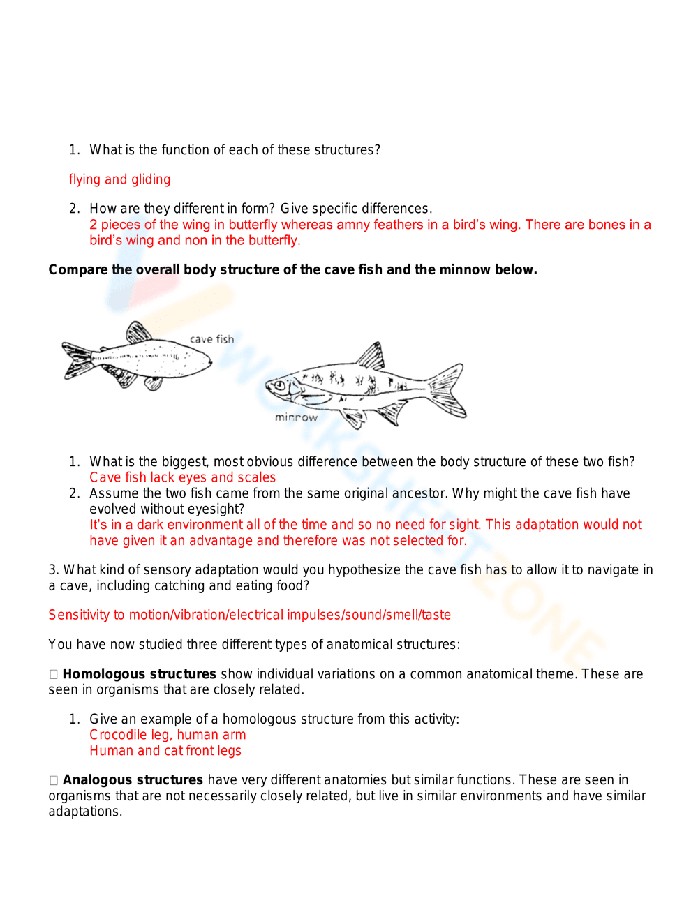 Evidence of evolution worksheet - Page 6