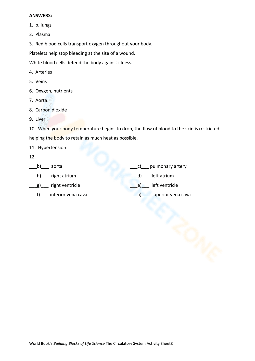 Circulatory Activity Sheet: Anatomy Focus - Page 3