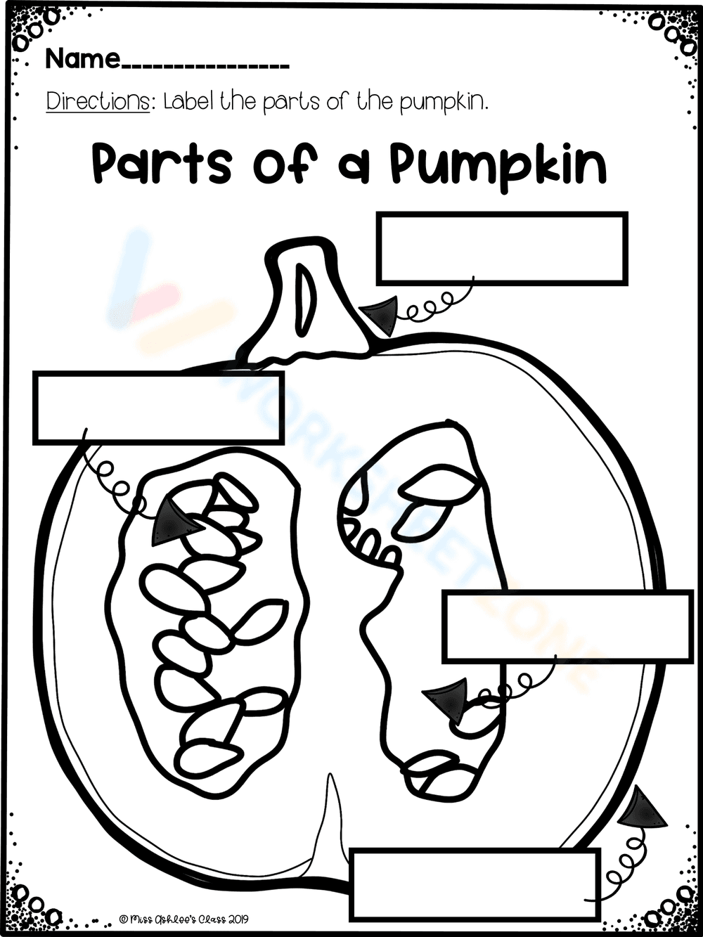 Discover the Parts of the Pumpkin Worksheet - Page 1