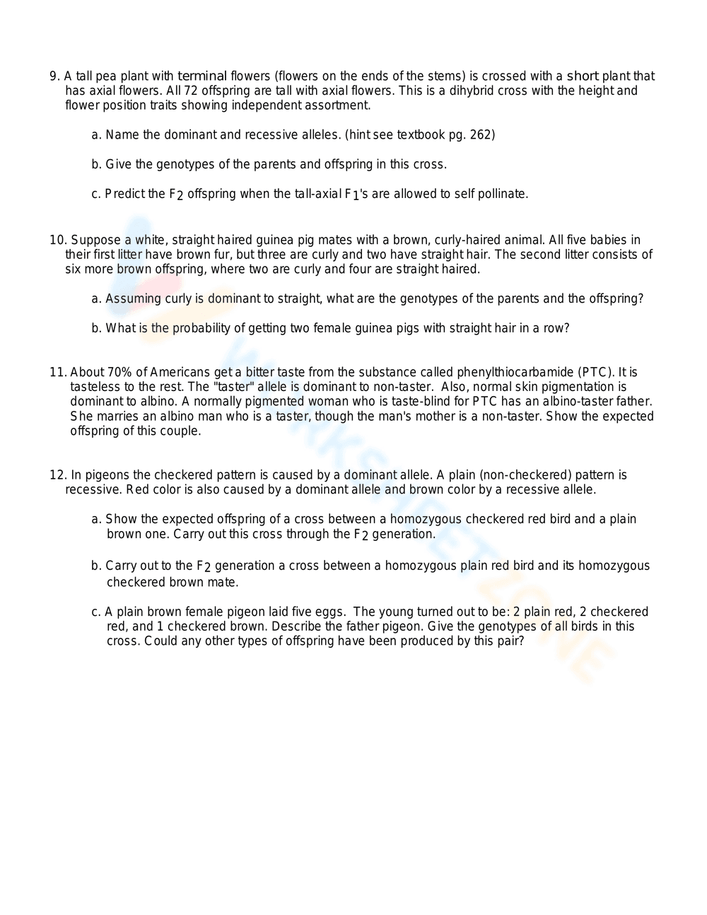 Dihybrid Cross Genetics Worksheet - Page 3