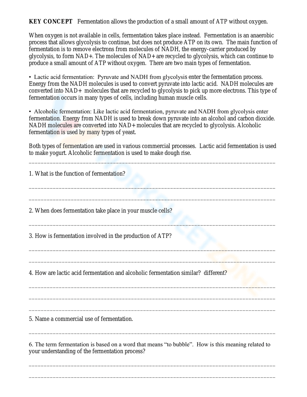 Overview of Cellular Respiration - Page 2