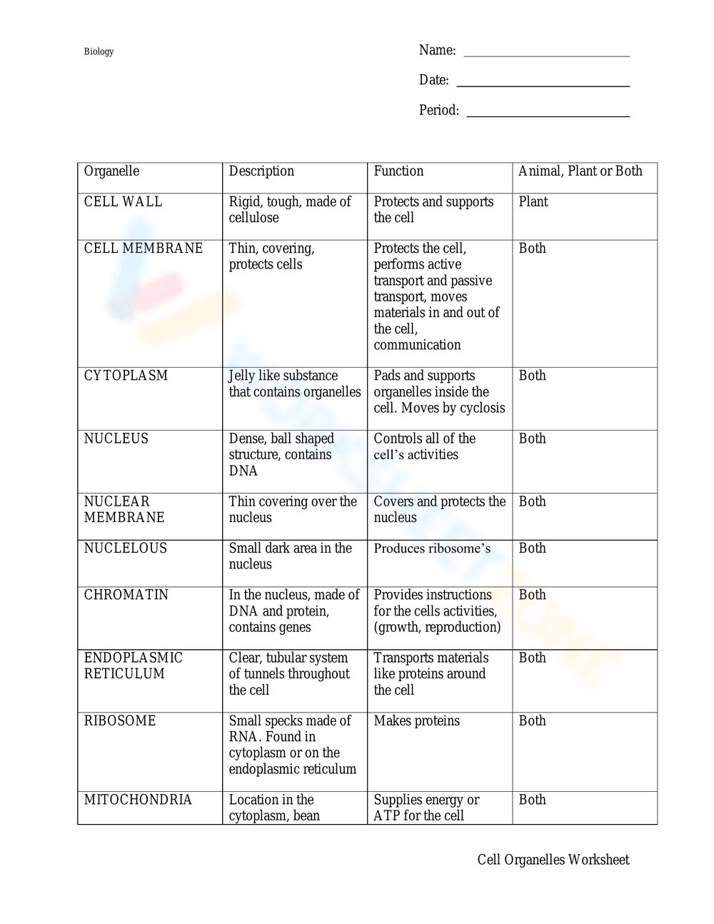 Explore Cell Organelles Worksheet 2 - Page 1