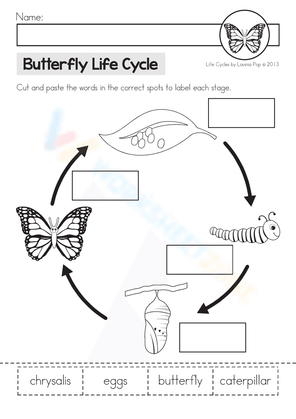 Butterfly Life Cycle Worksheet - Page 1