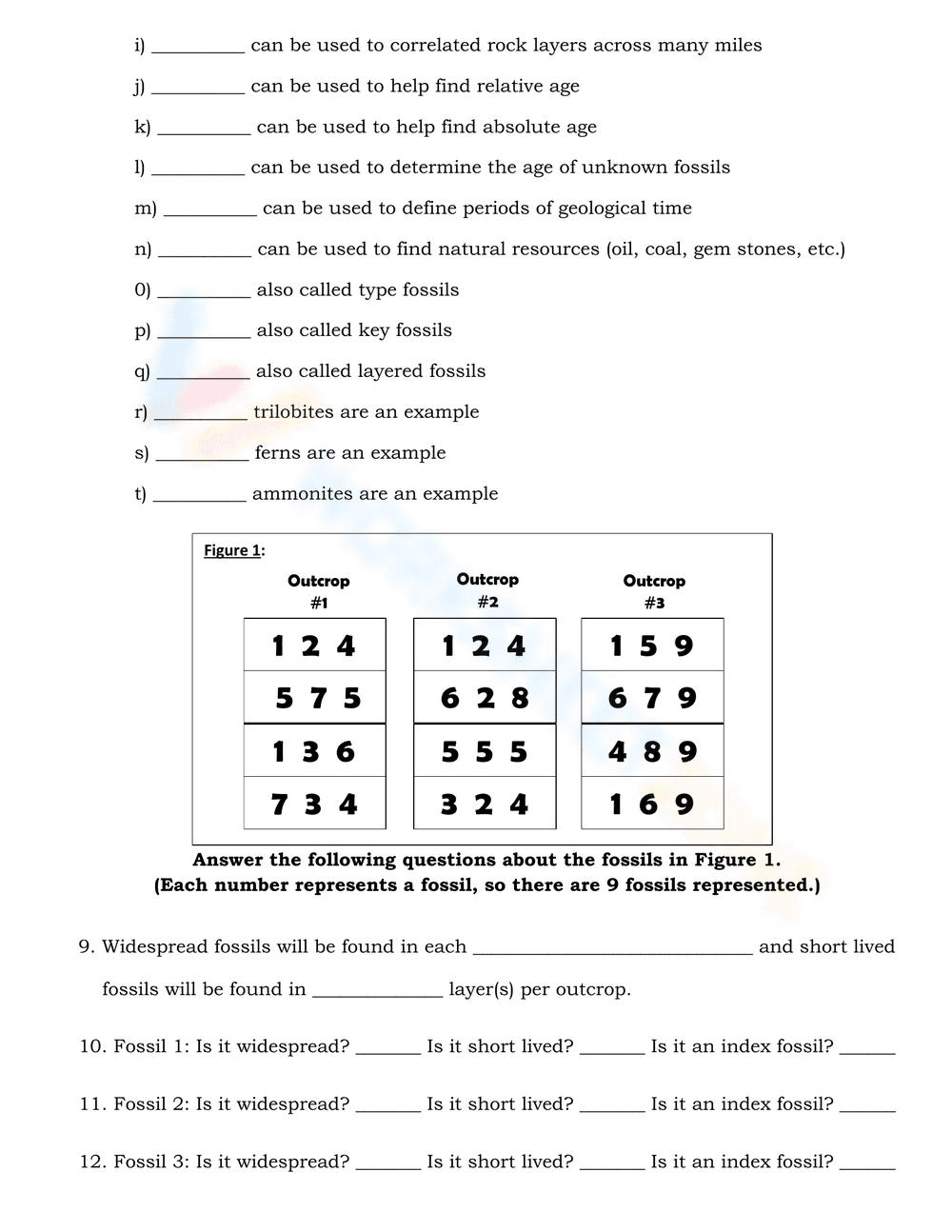 Explore Fossils with this Engaging Worksheet - Page 2