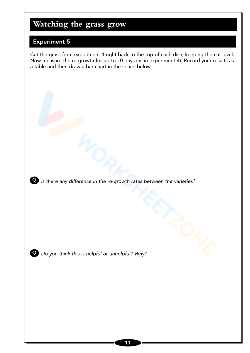 Seed Germination Worksheet: Understand Plant Growth - Page 11