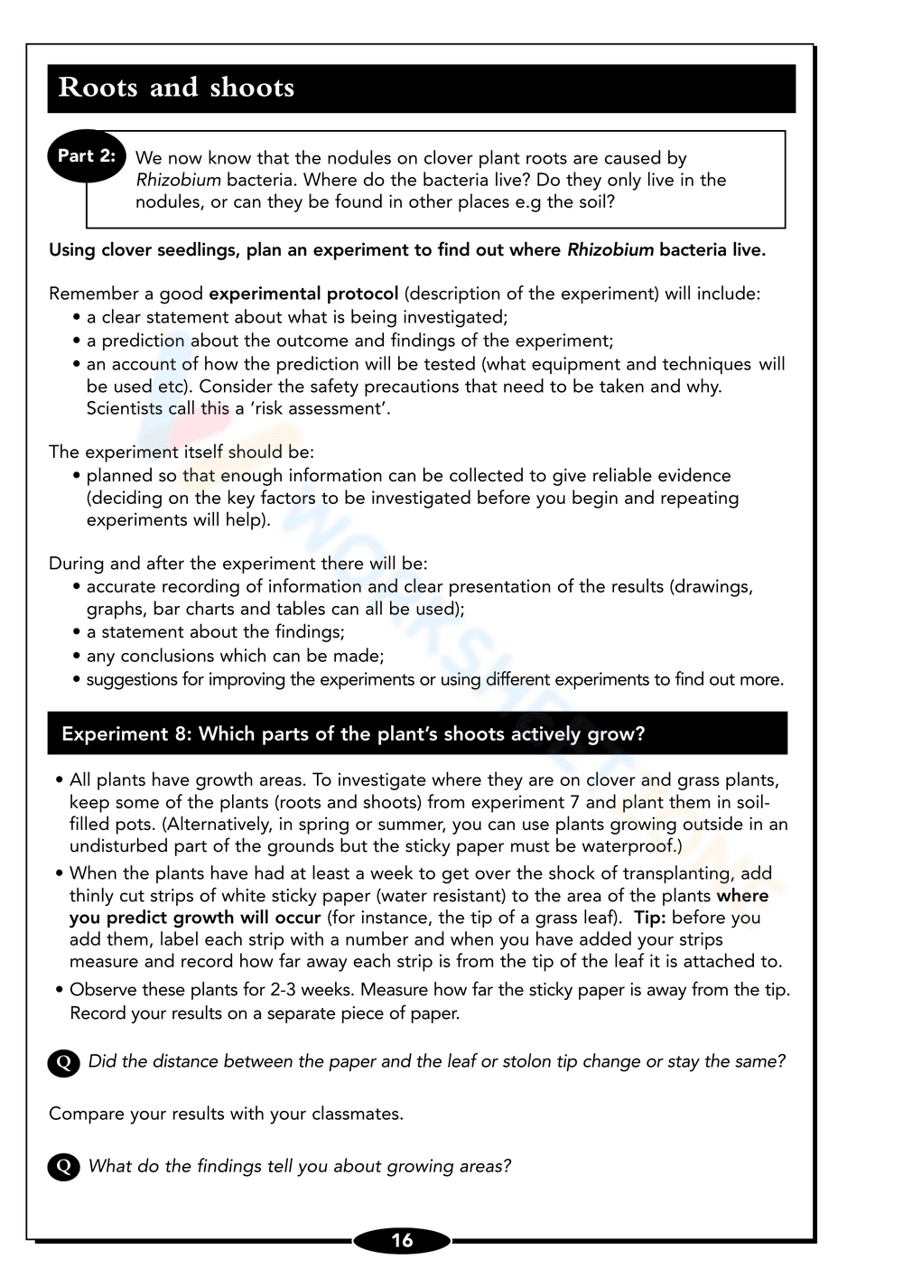 Seed Germination Worksheet: Understand Plant Growth - Page 16