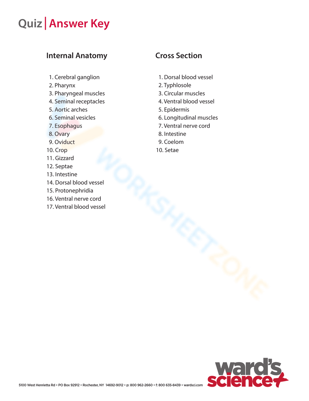 Earthworm dissection - Page 8