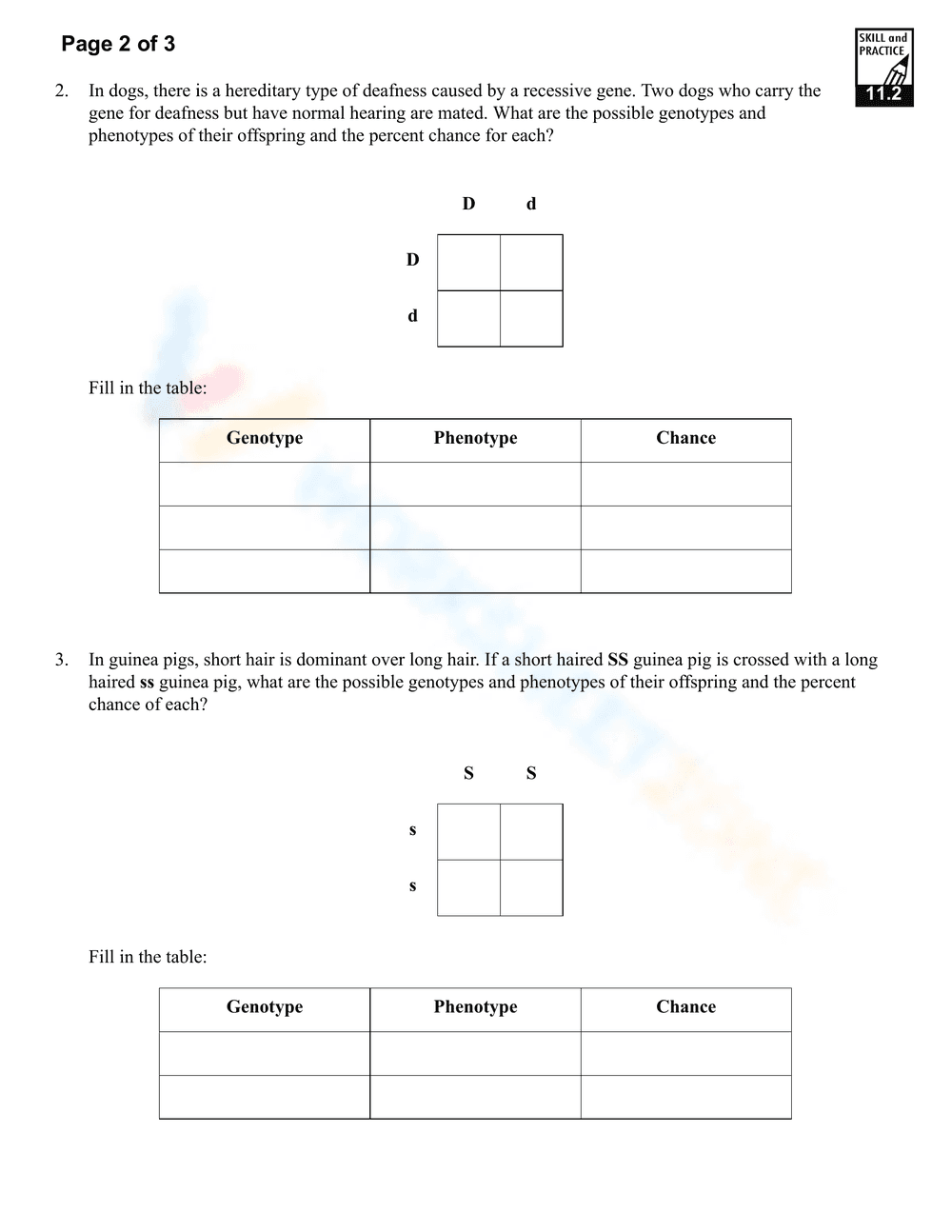 Punnett Square Practice Worksheet - Page 1