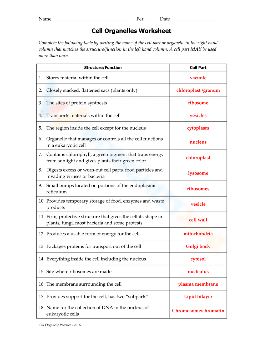 Cell Organelles Worksheet - Page 1