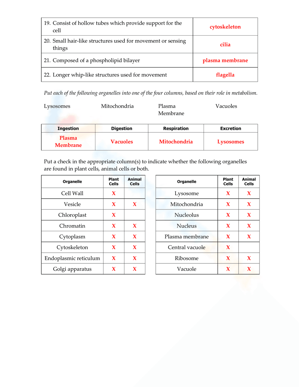 Cell Organelles Worksheet - Page 2