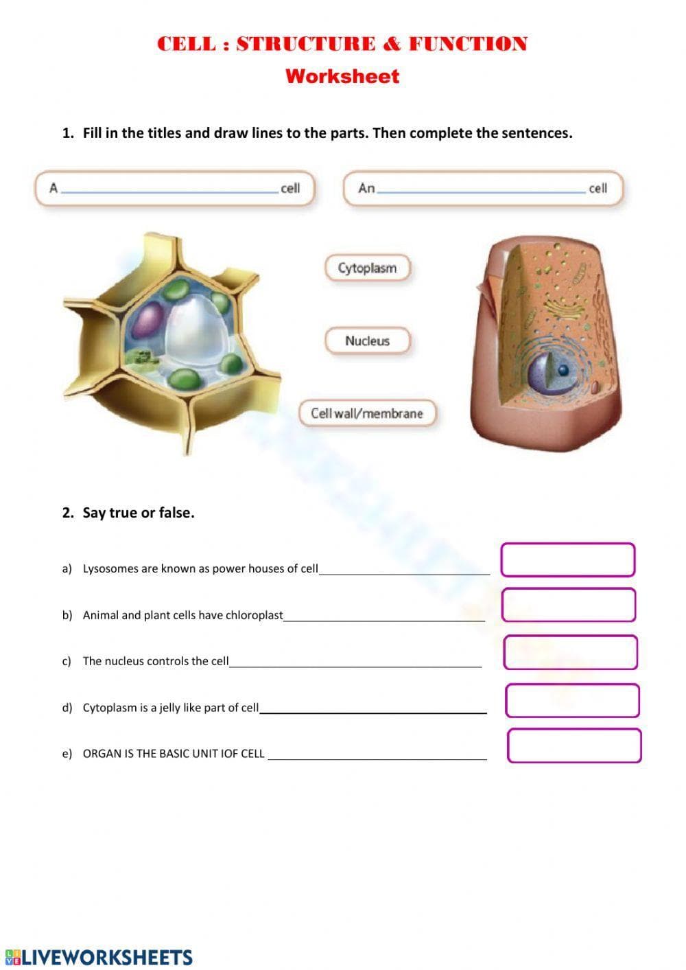 Cell Structure/Function - Page 1