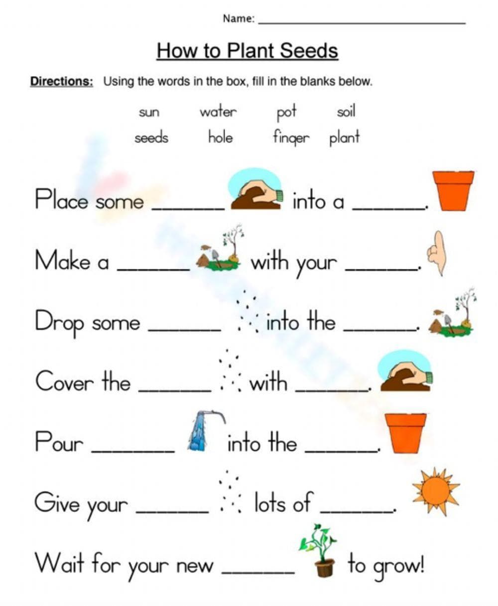 Learn How to Plant Seeds - Page 1