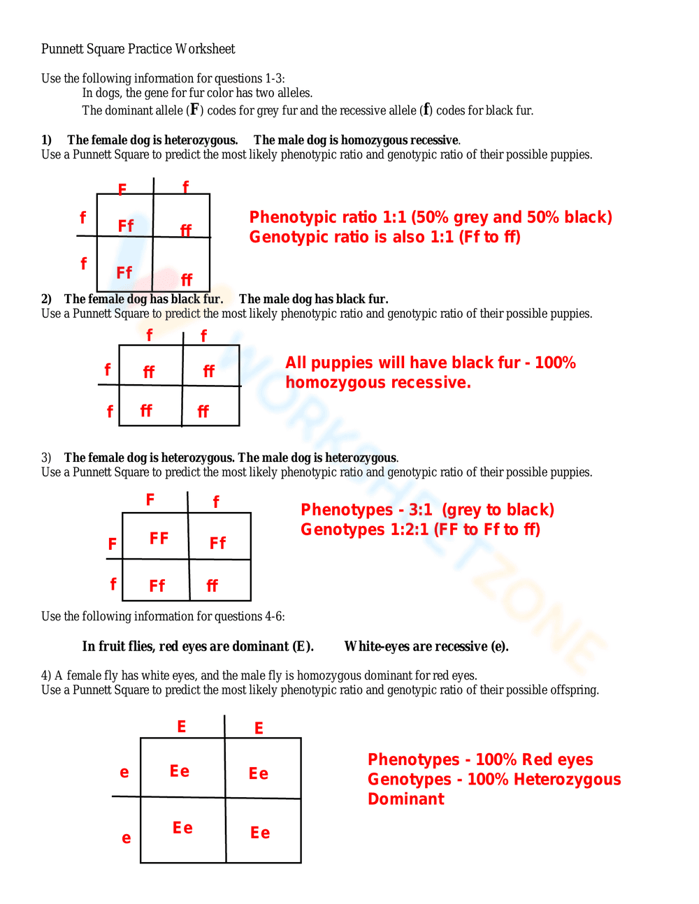 Punnett Square Practice Worksheet with Answers - Page 1