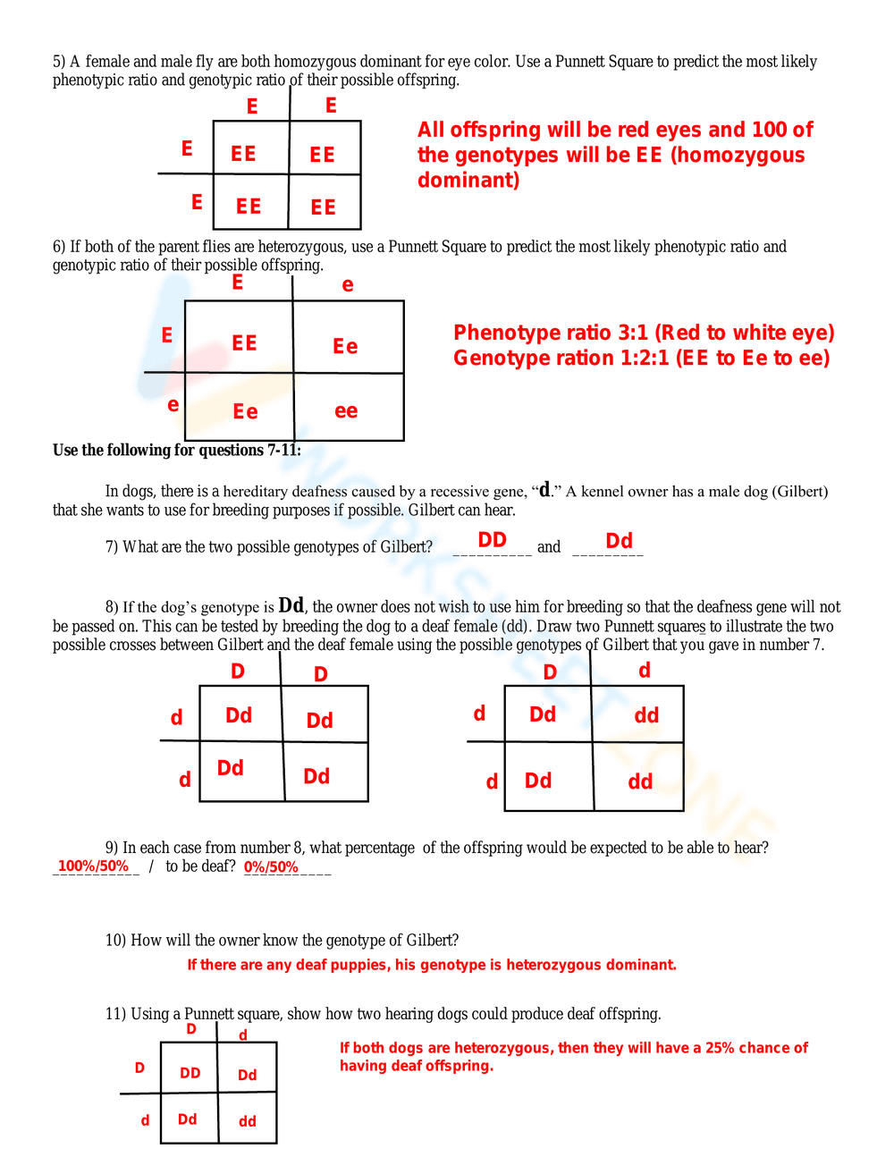 Punnett Square Practice Worksheet with Answers - Page 2