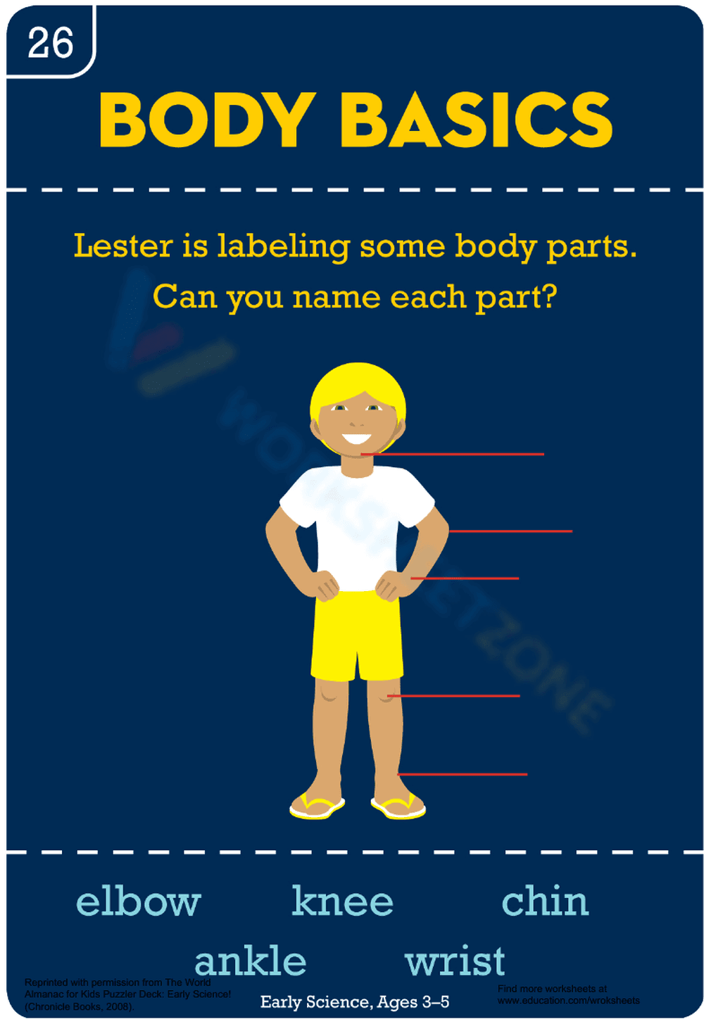 Body Basics Worksheet - Page 1