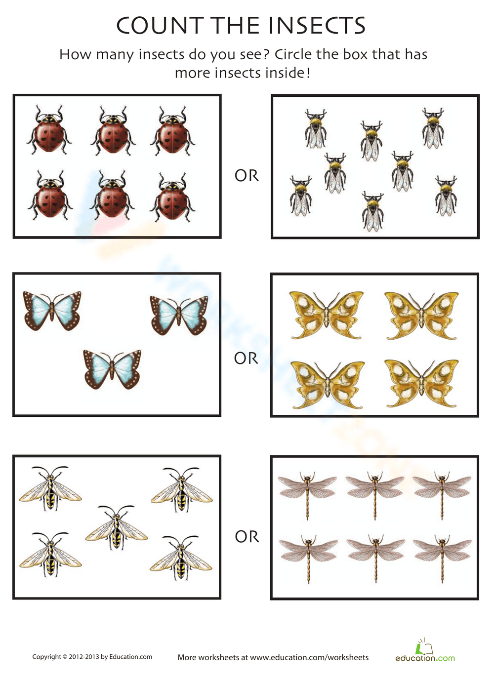 Count the Insects Math Worksheet - Page 1