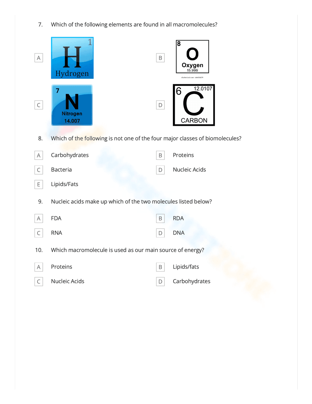 Macromolecules Quiz Practice Worksheet - Page 2