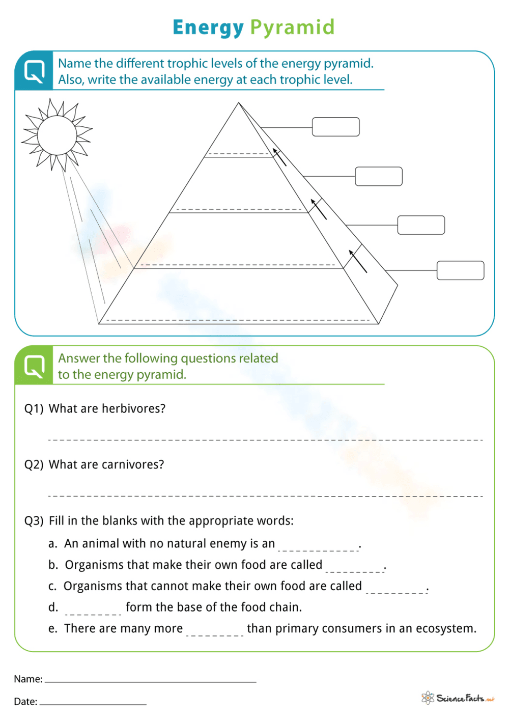 Build an Energy Pyramid: Science Worksheet - Page 1