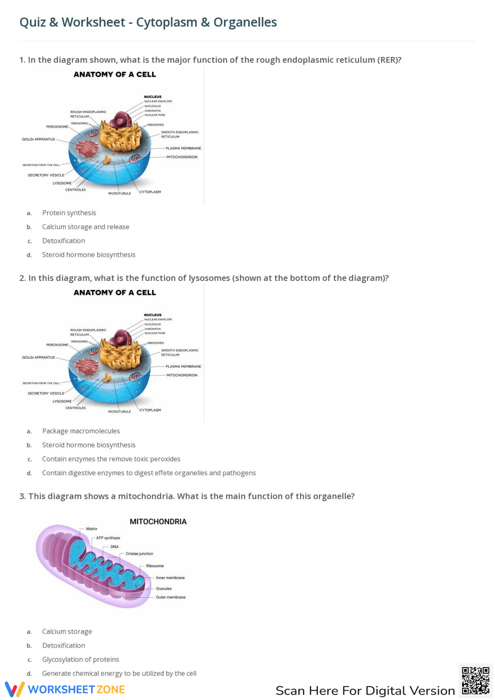 Cytoplasm and Organelles: Exploring Cell Structure - Page 1