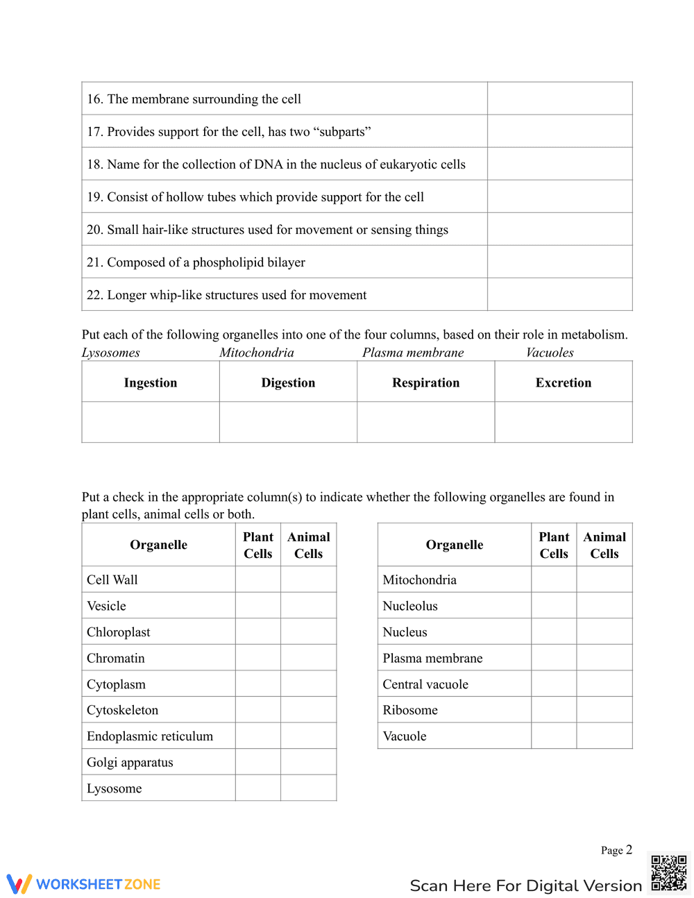 Cell Organelles Worksheet - Page 2