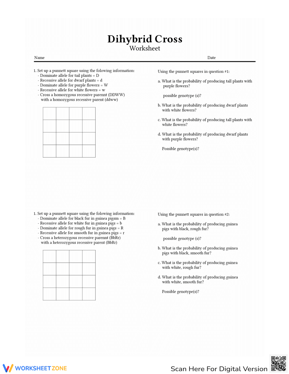 Dihybrid Cross Genetics Practice Worksheet - Page 1