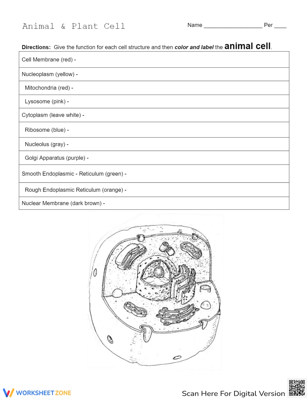 Animal and Plant Cell Worksheet - Page 1