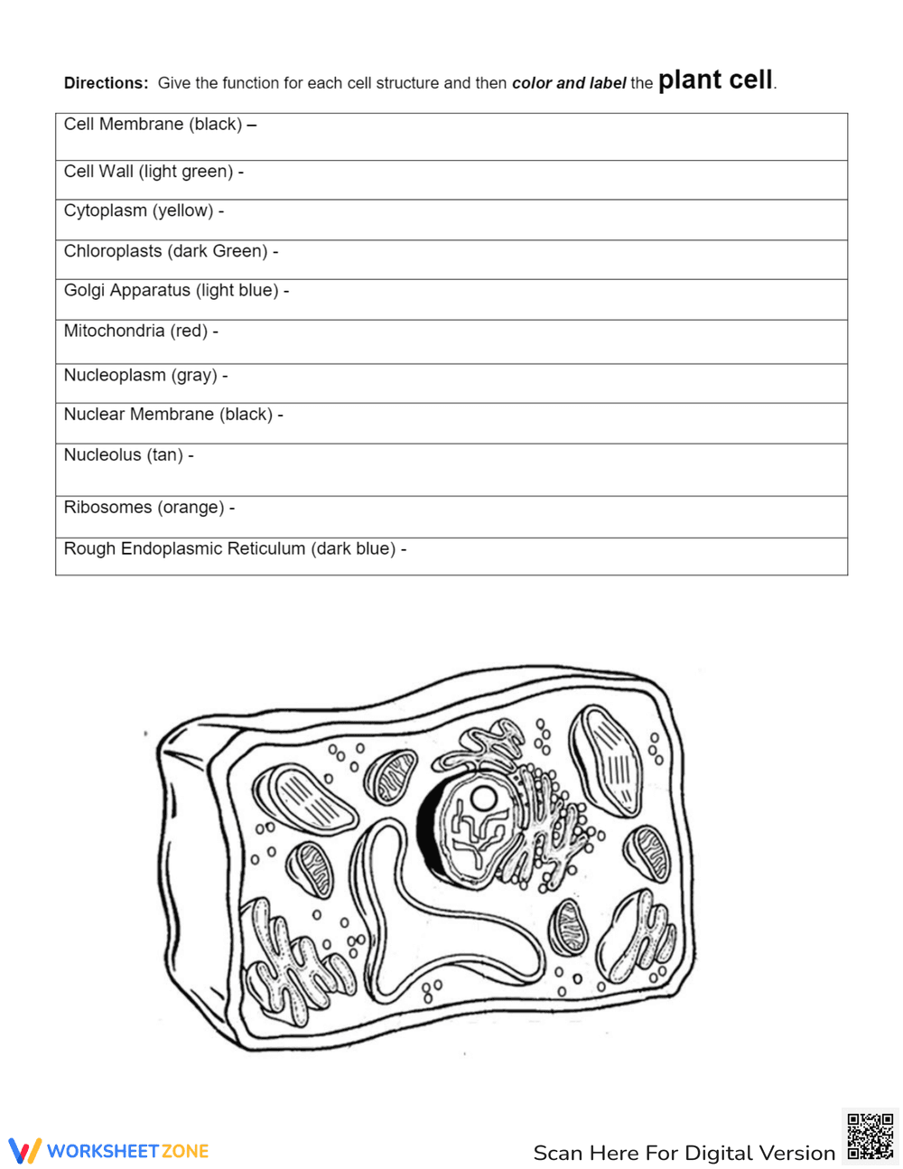Animal and Plant Cell Worksheet - Page 2