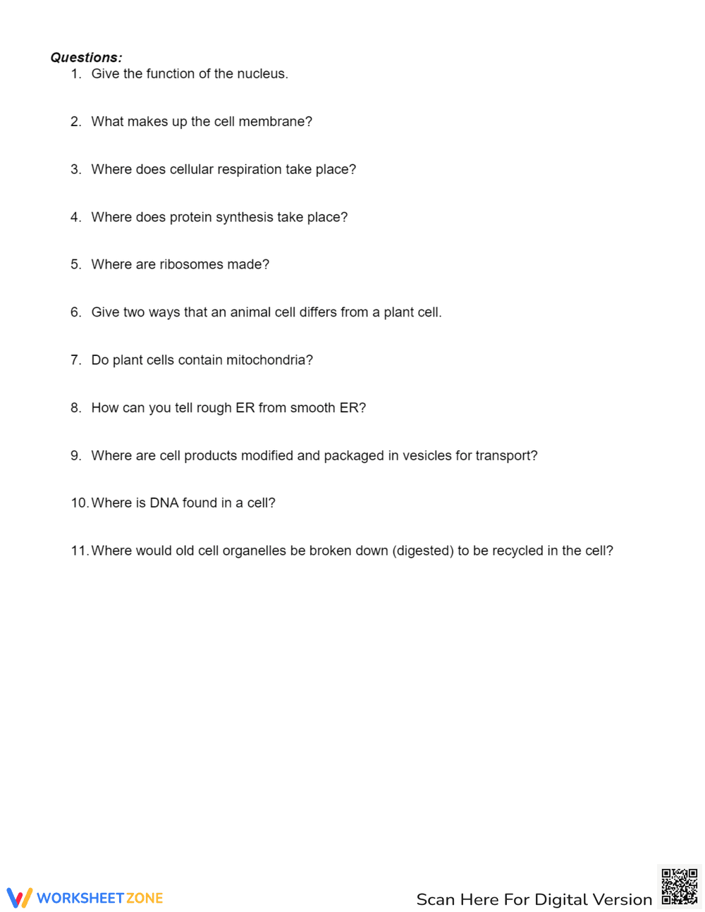 Animal and Plant Cell Worksheet - Page 3