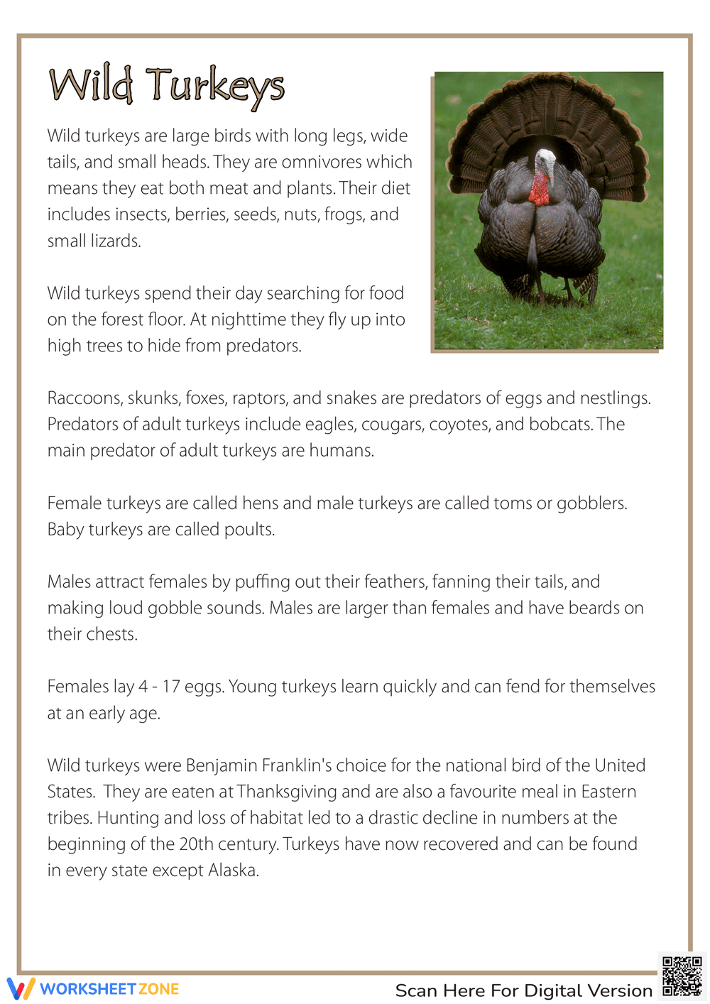 Thanksgiving Reading: Discover Wild Turkeys - Page 1