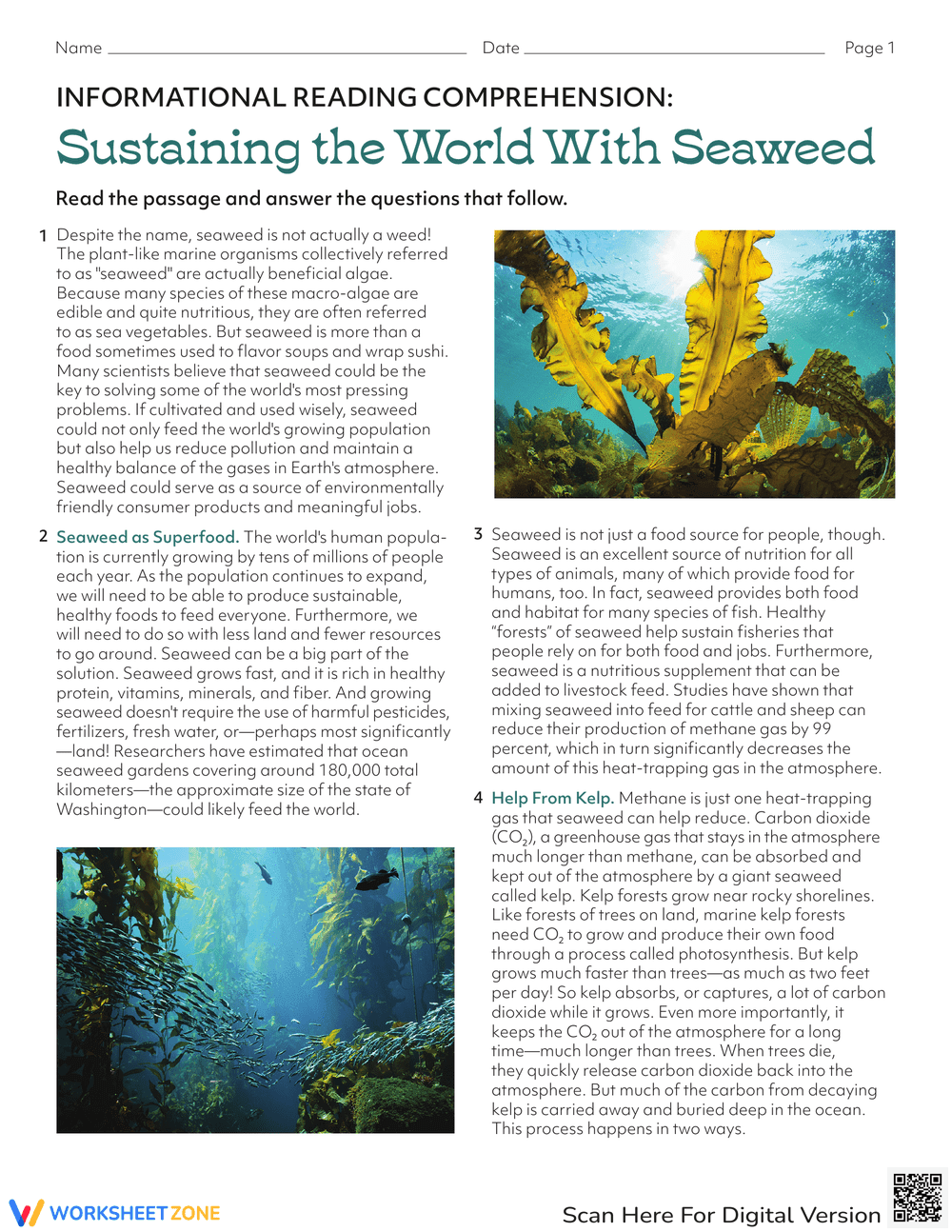 Sustaining the World with Seaweed Worksheet - Page 1