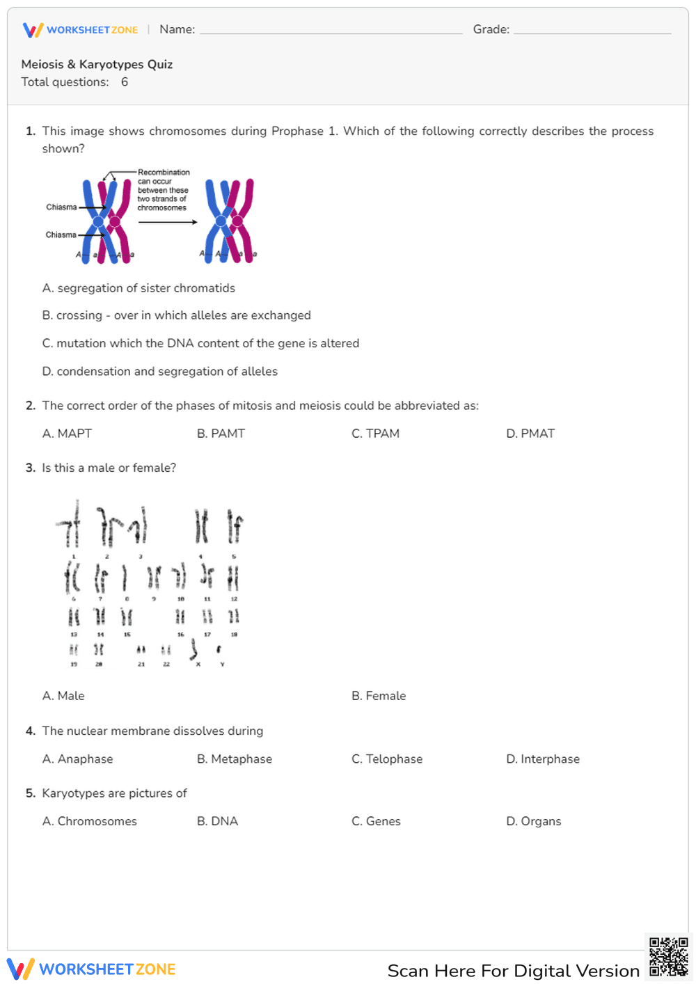 Meiosis and Karyotypes Quiz - Page 1