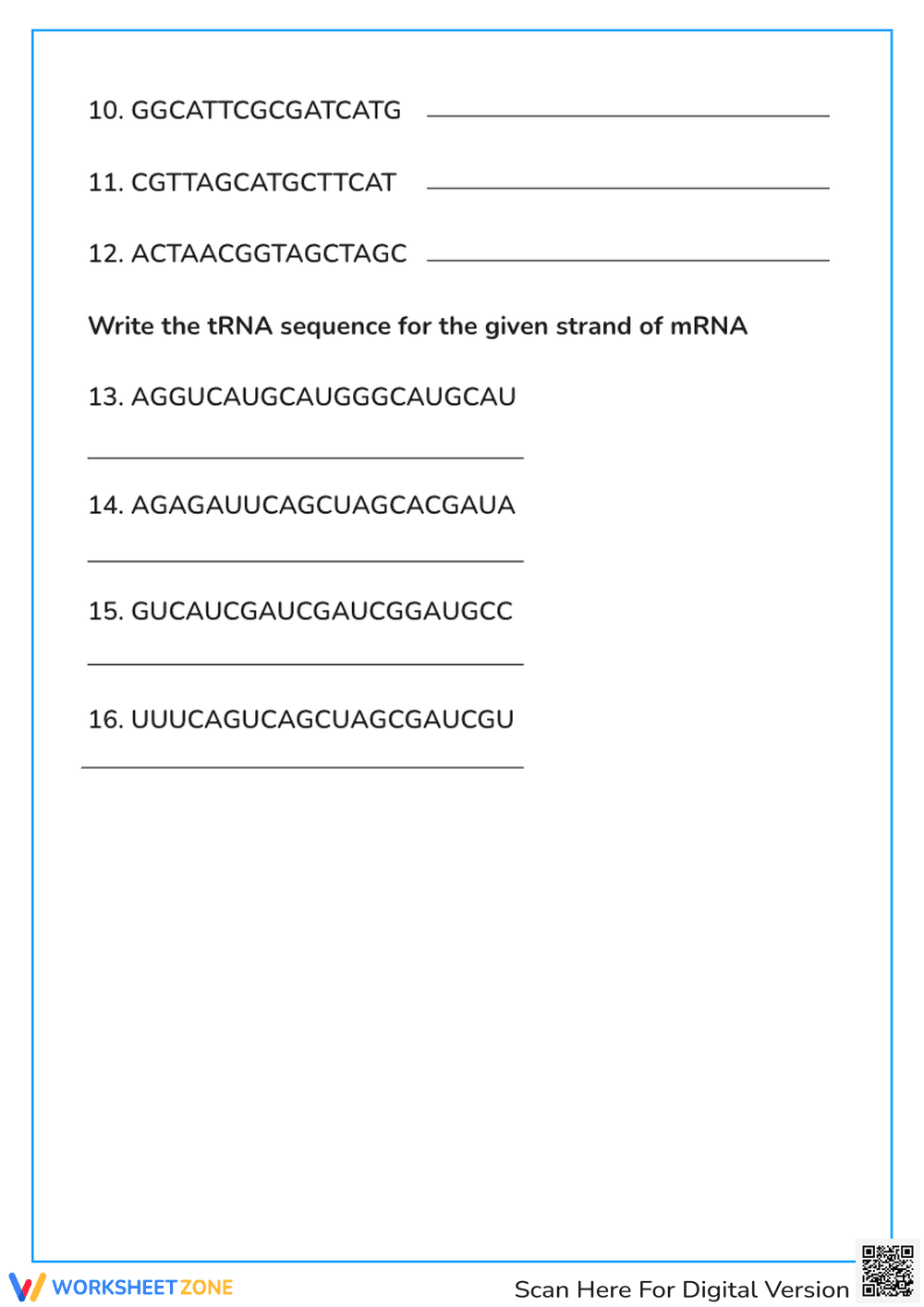 DNA Base Pairing & mRNA Transcription Worksheet - Biology Basics - Page 2