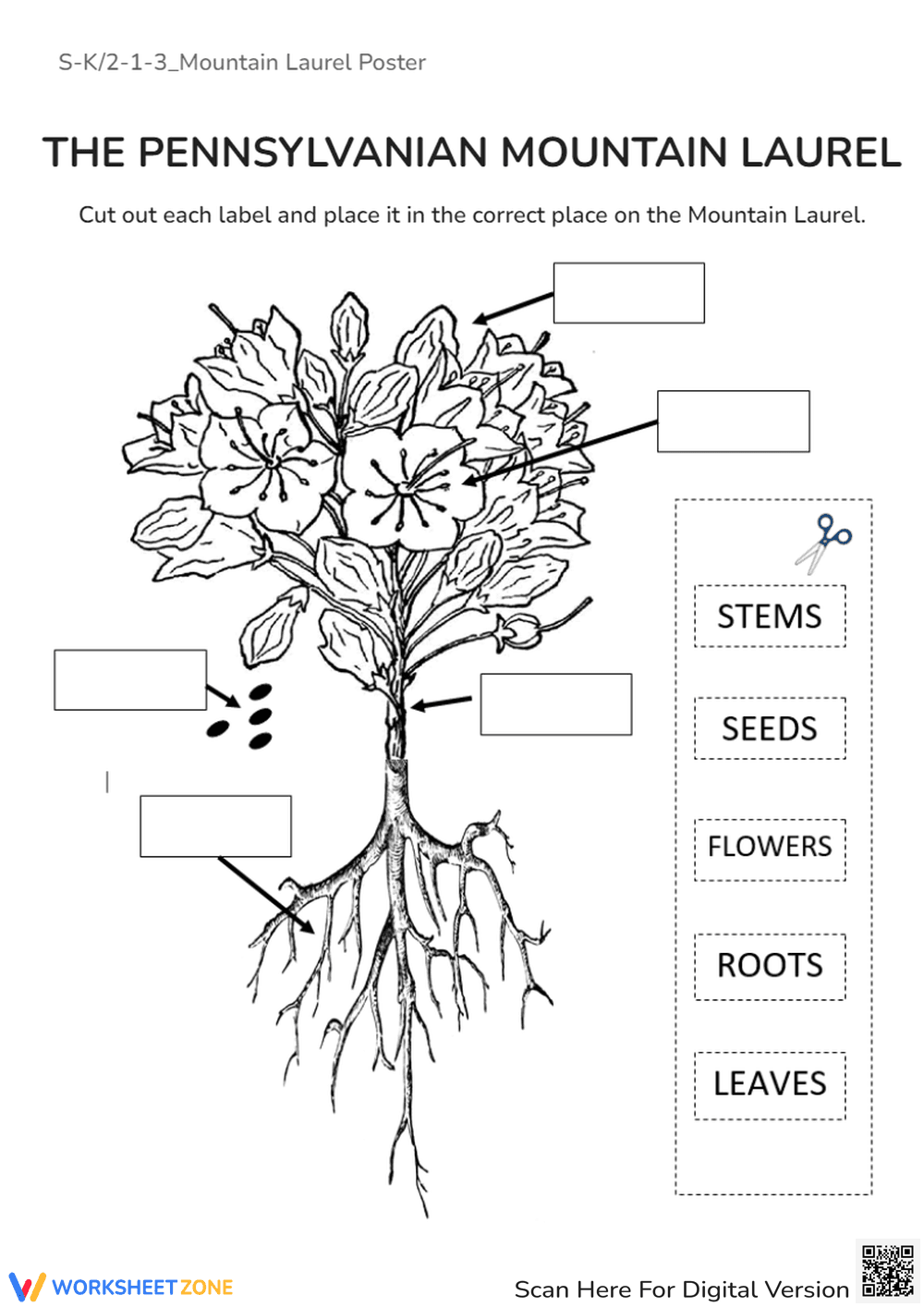 Discover the Mountain Laurel Poster - Page 1